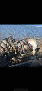 Fishing trip in CA