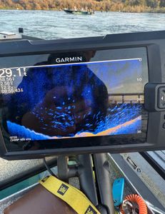 Scenic fishing spot in CA