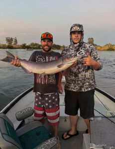 Rainbow trout caught while fishing in CA