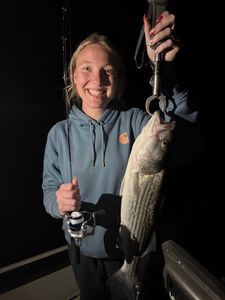 Striped bass caught in Arbuckle