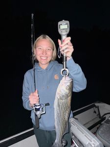 Striped bass caught in Arbuckle