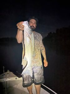Striped Bass caught in CA