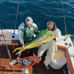 Brilliant mahi mahi offshore fishing score