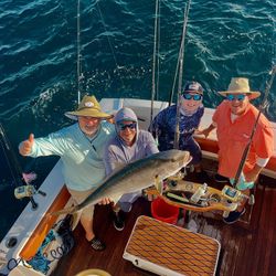 Four anglers fishing in Florida