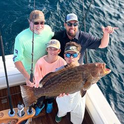 A black grouper fish caught in Miami
