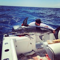 Caught a big blue marlin while fishing in Miami