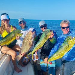 4 mahi mahi fish caught while fishing in FL
