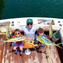 Two Mahi Mahi or Common Dolphinfish, caught while fishing in Miami