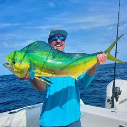 Mahi Mahi fish caught by an angler in Miami
