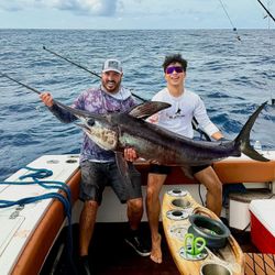 Swordfish catch displayed on fishing boat deck in Miami FL waters
