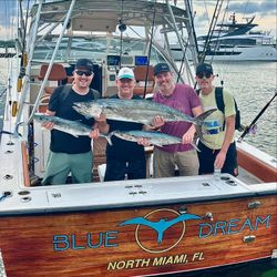 Two king mackerel, each 36 inches long, caught while fishing in FL