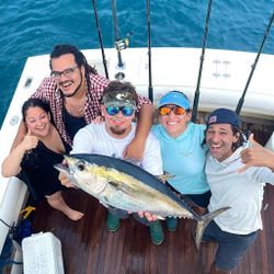Yellowfin tuna fishing catch in Miami, Florida