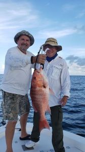 Snapper Fishing in Dauphin Island, AL 