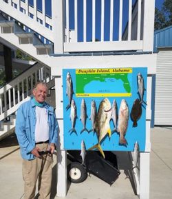 7 big fish caught during a cruises, fishing, and tours excursion at Dauphin Island