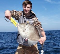 Grey Triggerfish measuring 16 inches caught while fishing in AL