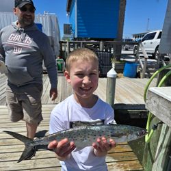 Spanish Mackerel caught in AL
