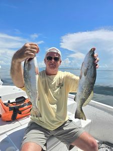 Two spotted weakfish, 21 inches long, caught during a fishing tour in Dauphin Island