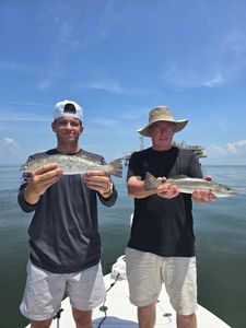 Two spotted weakfish fish caught during an AL cruises, fishing, tours fishing trip