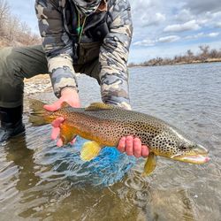 A fishing scene in Missoula