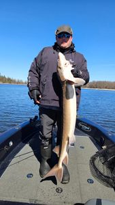Angler with a big fish catch in Minnesota