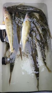 Two anglers fishing in Minnesota