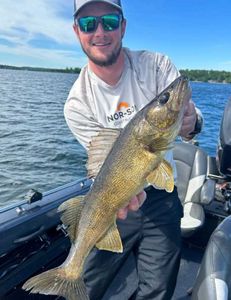 Walleye fish caught in Breezy Point
