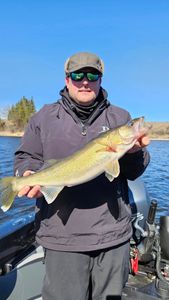 A lone walleye, 21 inches long, caught while fishing in Minnesota