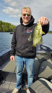 A white crappie fish caught in MN