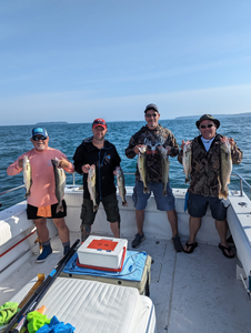 6 bluefish and sauger caught in Port Clinton