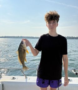 Angler fishing in Port Clinton