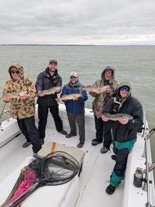 Anglers with three great fish caught in OH