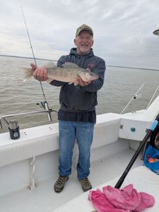 Lone angler fishing in the waters of Port Clinton