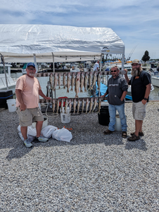 Group of 4 people fishing in Port Clinton
