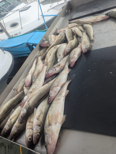 Fishing in Port Clinton