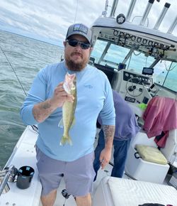Largemouth bass caught in Port Clinton