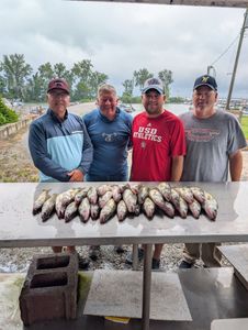 Fresh caught fish displayed on cleaning table at Port Clinton OH fishing dock