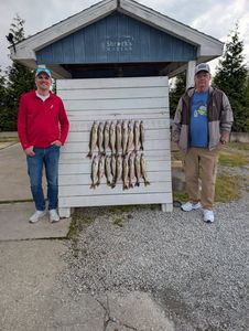 Fishing catch display showing multiple fish hung on cleaning station in Port Clinton OH