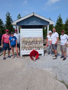 Fishing group displays large catch of fish on cleaning station at Port Clinton OH marina