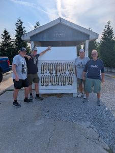 Four anglers displaying their catch of fish on a cleaning station board at Port Clinton OH marina