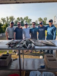 Fishing charter group displaying their catch of multiple fish on cleaning table at Port Clinton OH