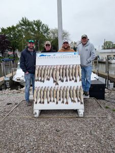Fishing charter catch display with multiple fish arranged on cleaning station at Port Clinton OH marina