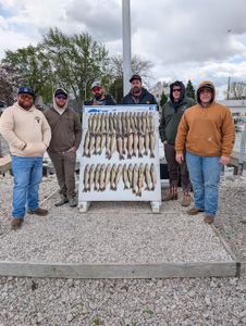 Fishing charter display board showing caught fish from Port Clinton OH trip