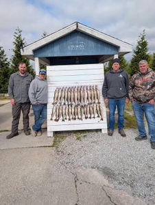 Fishing charter display board showing multiple caught fish in Port Clinton OH