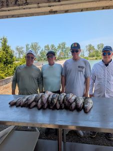 Successful fishing trip in Port Clinton OH with large catch of fish displayed on cleaning table
