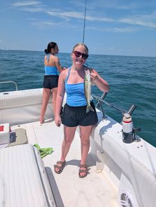 Walleye caught while fishing on boat in Port Clinton OH waters