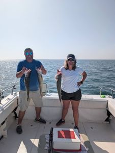 Fresh walleye catch displayed on fishing boat in Port Clinton OH