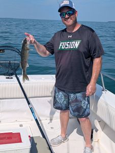 Walleye caught fishing on Lake Erie near Port Clinton Ohio