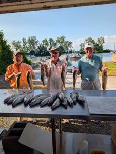 Successful walleye fishing trip in Port Clinton OH with fresh catch displayed on cleaning table at marina