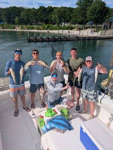 Successful fishing trip in Port Clinton OH showing caught walleye and sauger on boat deck