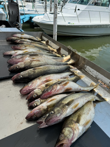Three fish caught in OH